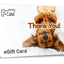 Paw.com Gift Card