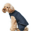 Reversible Dog Vest Jacket - Blue