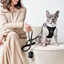 SoHo Dog Harness - Black