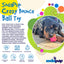 Crazy Bounce Rubber Dog Chew Toy for Power Chewers | Retrieving Ball | USA Made