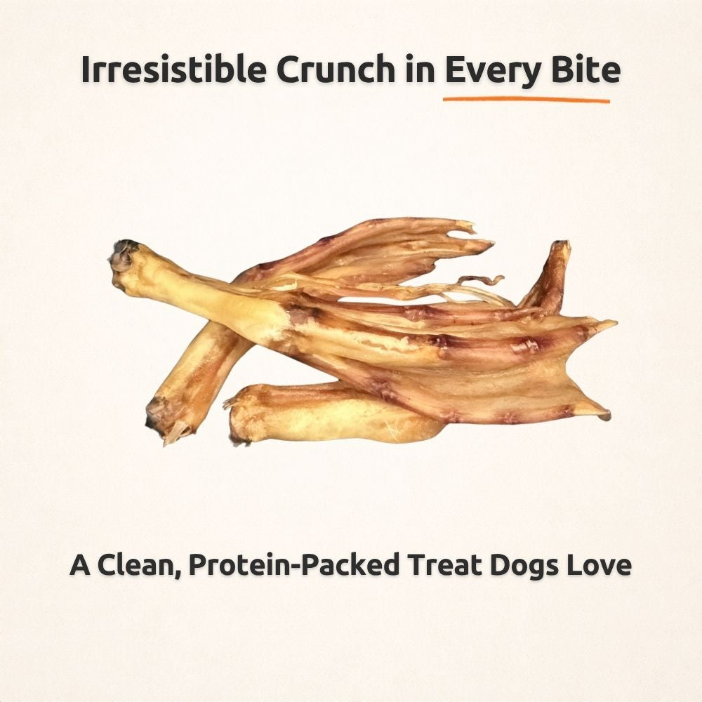 Freezbone Whole Duck Feet Dental Treats for Dogs - Human Grade - Single Ingredient