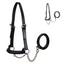 Derby Originals Premium Raised Padded Leather Cattle Show Halter, Small/Medium/Large, Adjustable Fit with 48" Lead and 14" Chain, Durable Hardware, 1-Year Warranty