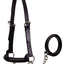 Derby Originals Premium Raised Padded Leather Cattle Show Halter, Small/Medium/Large, Adjustable Fit with 48" Lead and 14" Chain, Durable Hardware, 1-Year Warranty
