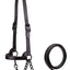 Derby Originals Midnight All Black Flat Fancy Stitch Leather Cattle Show Halter, Small/Medium/Large, Adjustable Fit with 48" Lead and 14" Chain, Durable Hardware, Ideal for Shows, 1-Year Warranty