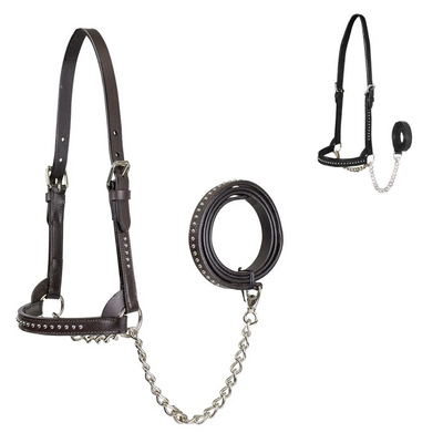 Derby Originals New and Improved Premium Show Spotted Flat Leather Cattle Show Halter, Small/Medium/Large, Adjustable Fit with 48" Lead and 14" Chain, Durable Hardware, 1-Year Warranty