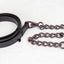 Derby Originals Bronze Beauty Rolled Leather Cattle Show Halter, Small/Medium/Large, Adjustable Fit with 48" Lead and 14" Chain, Durable Bronze Hardware, Ideal for Shows, 1-Year Warranty