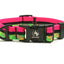 Adventure Dog Collar - Multicolor