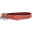 Martingale Leather Dog Collar