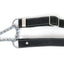 Martingale Leather Dog Collar