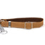 Martingale Leather Dog Collar