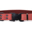 Sport Style Coral Reef Leather Dog Collar