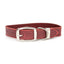 Celtic Double Buckle Style Leather Dog Collar
