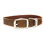Celtic Double Buckle Style Leather Dog Collar