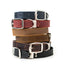 Celtic Double Buckle Style Leather Dog Collar