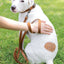 Sport Style Leather Dog Leash
