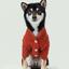 BERT CARDIGAN SWEATER - ORANGE