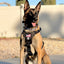 K9R - M1 LightSpeed Harness Large