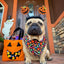 Trick N Treat Cooling Bandana
