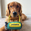PUPROAR Golf Dog Toy- Squeaky and Crinkle and Squeaky Dog Toy- Ideal Birthday Dog Toy