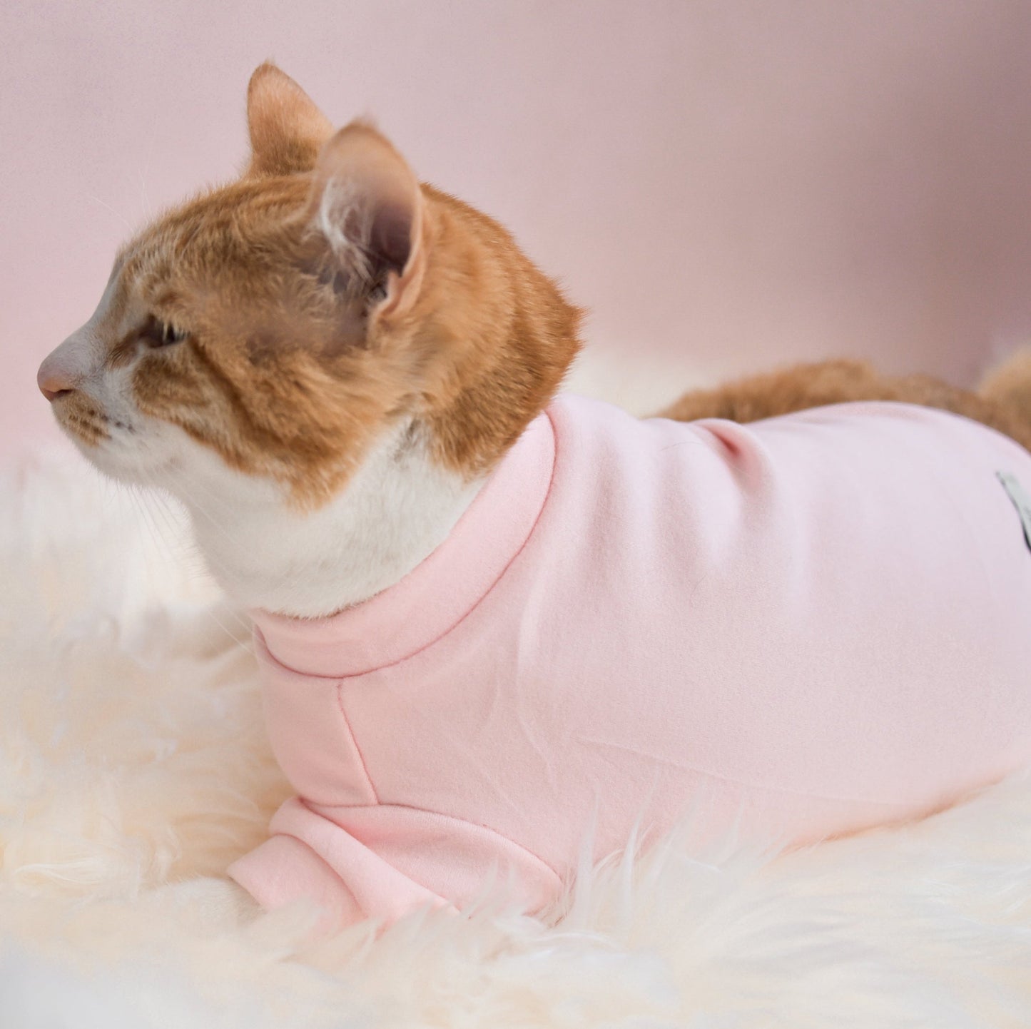 Fur Elise Spoiled Mock Neck Shirt - Blush