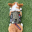 Key Chain Tag - Remove Before Poop