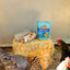 Herb Supplement For Backyard Chickens