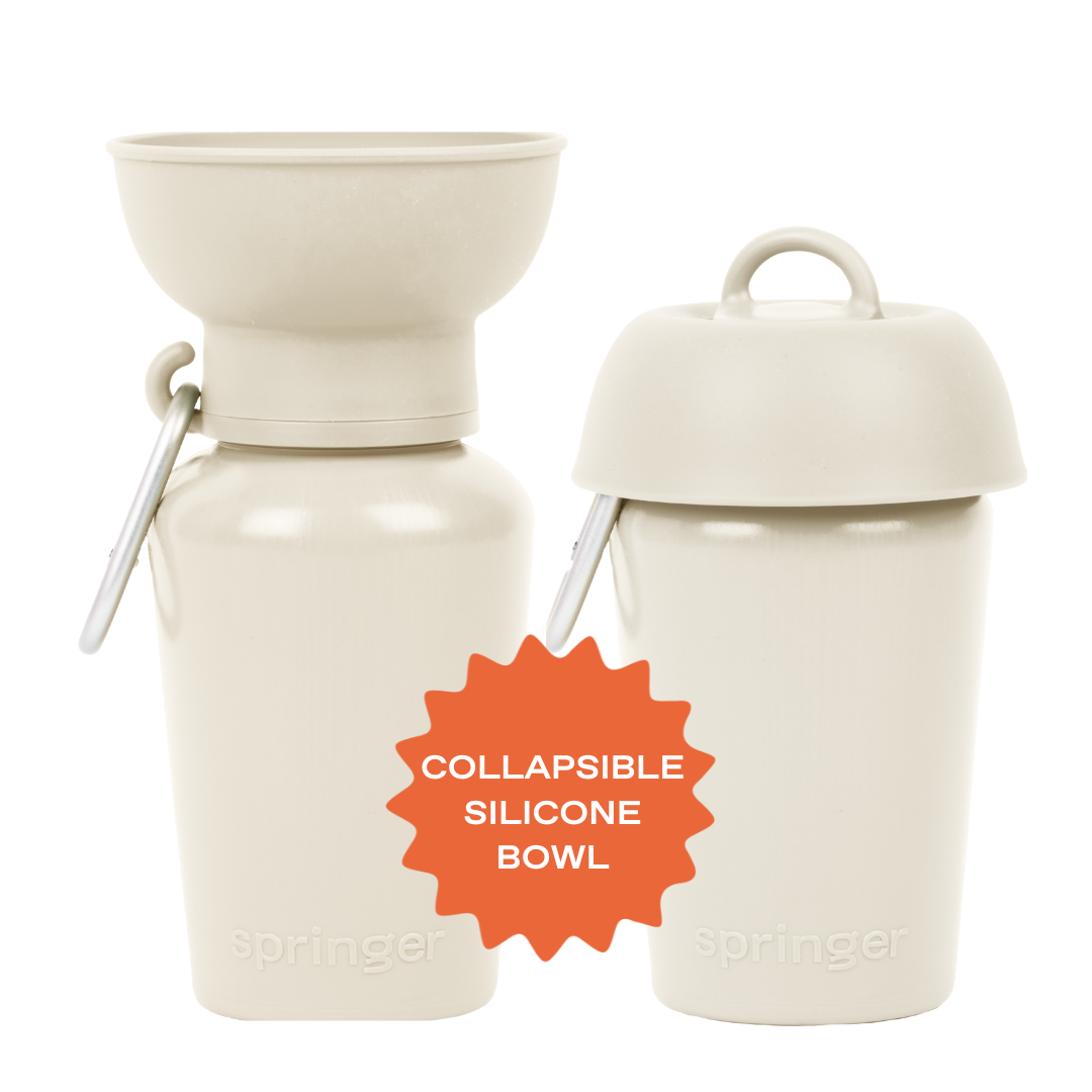 20oz Flip Travel Dog Water Bottle
