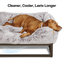 The FÜZI Elevated Dog Bed