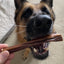 6 Inch Beef Jerky Stick