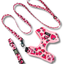 Strawberry Fields Leash
