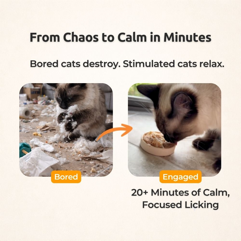 FreezSpin Cat Durable Interactive