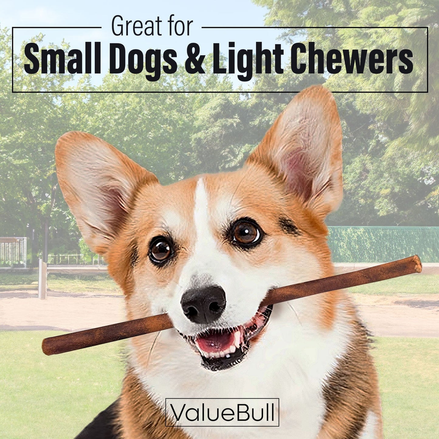 ValueBull Collagen Sticks for Small Dogs, 12 Inch Thin Chews, Natural Dog Treats, 10 Count