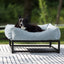 The FÜZI Elevated Dog Bed