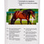 3M Animalintex Hoof Poultice Pads for Horses