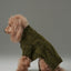 GLACIER PET SWEATER - OLIVE GREEN