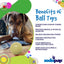 Squeak Ball - Durable Squeaky Dog Toy, Floats, Chew Toy | USA Made