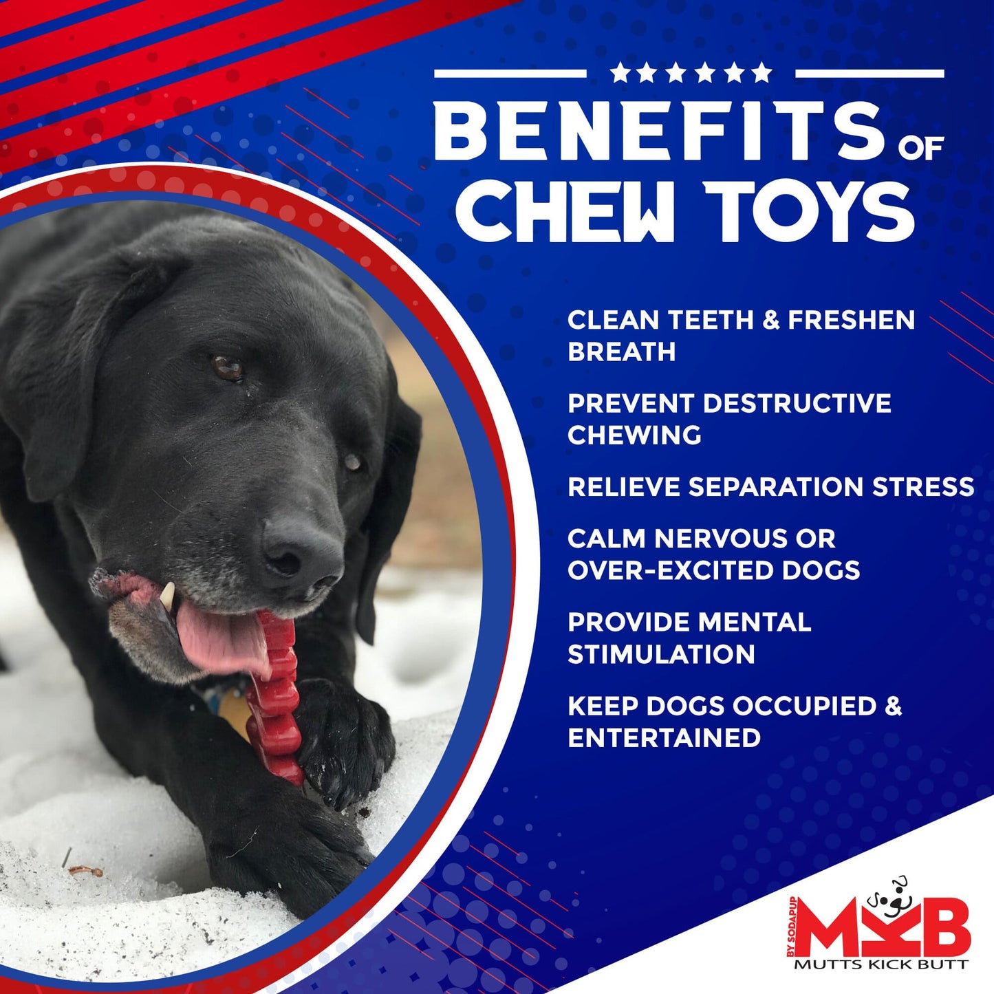 Christmas Tree Nylon Dog Chew Toy for Aggressive Chewers | USA Made & FDA Compliant