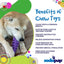 Fish Bone Nylon Dog Toy for Aggressive Chewers | USA Made | SodaPup