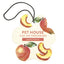 Mango Peach Car Air Freshener