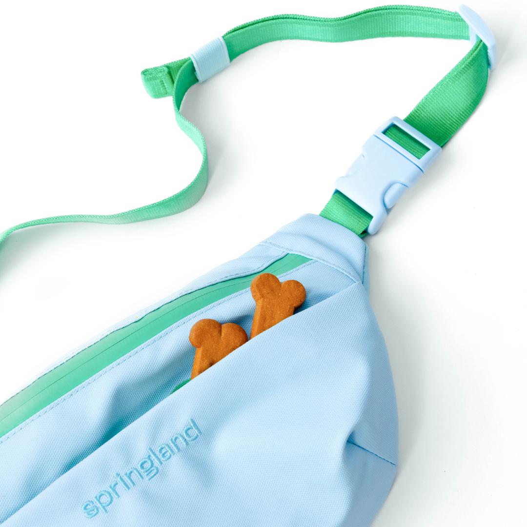 Hands-Free Dog Walking Bag with 4ft Leash
