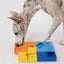 Pawzler Set - Rainbow
