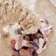 Ashi Dog Toy Large - Caramel/Blue