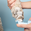 Paw Cleansing Foam Dog Paw Cleaner – Lick-Safe, Hydrating Formula with Built-In Brush Head
