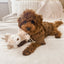 Fur Elise Vixi Plush Toy Set
