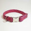 Upcycled Climbing Rope Dog Collar