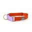 Martingale Dog Collar