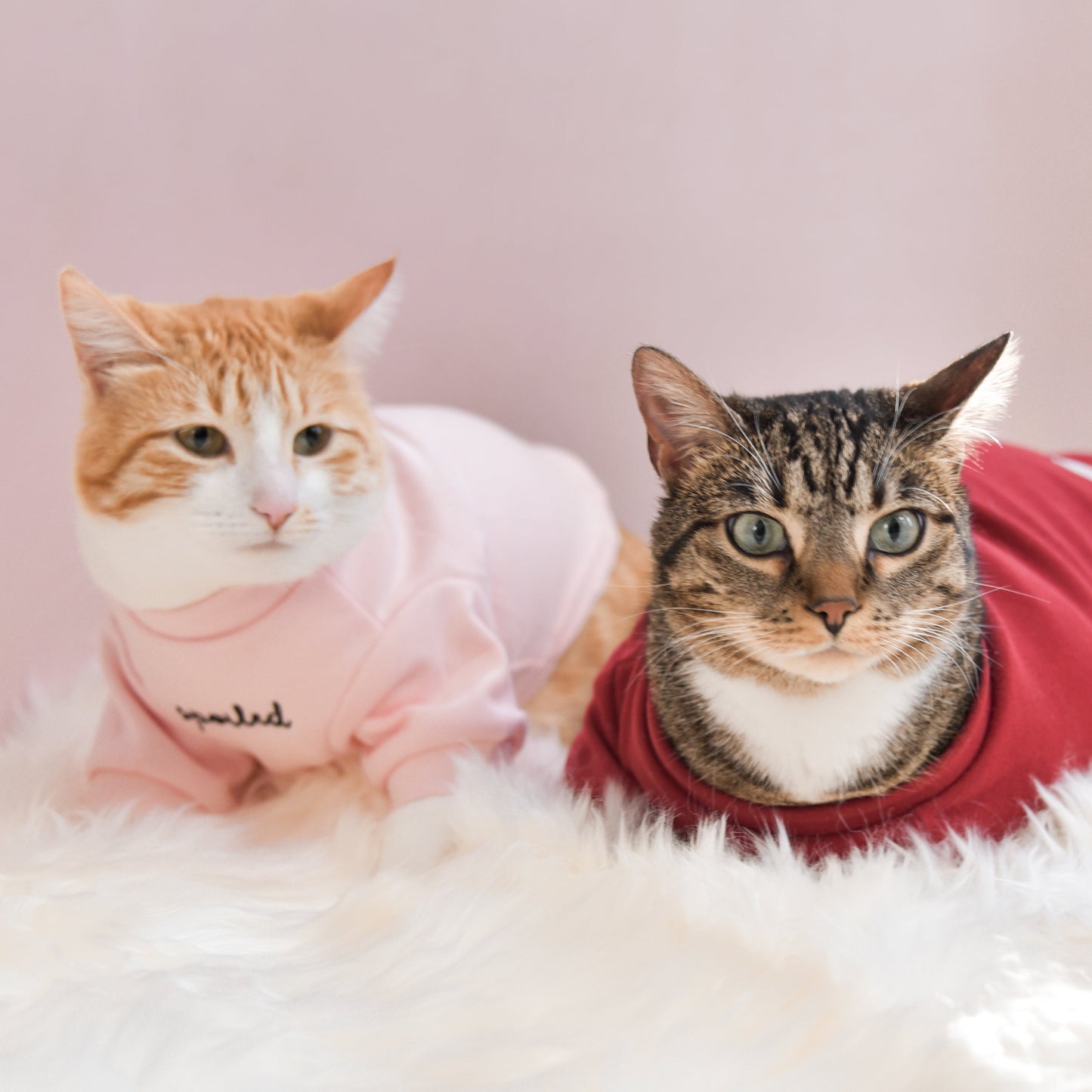 Fur Elise Spoiled Mock Neck Shirt - Lucky