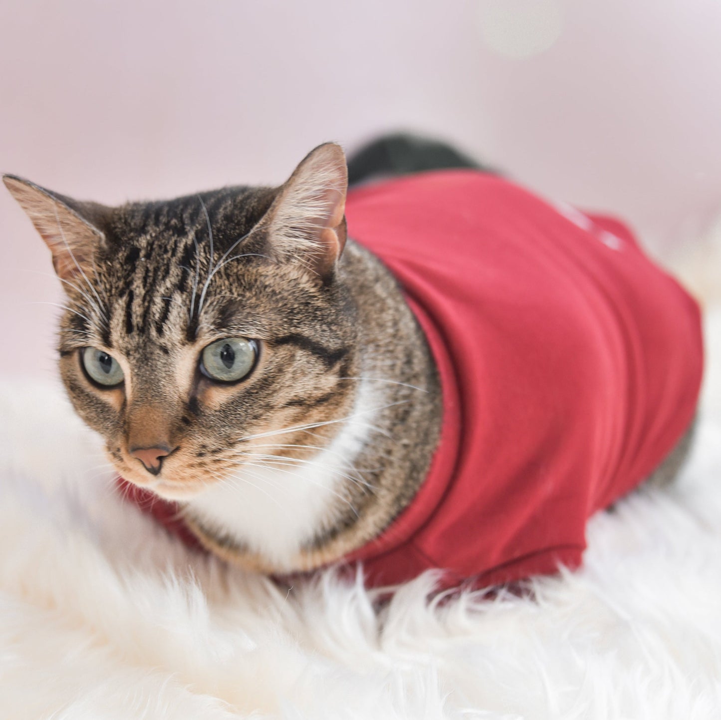 Fur Elise Spoiled Mock Neck Shirt - Lucky