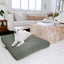 Sage | Modern Dog Bed or Bed Cover