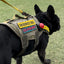 Disservice Dog Morale Patch